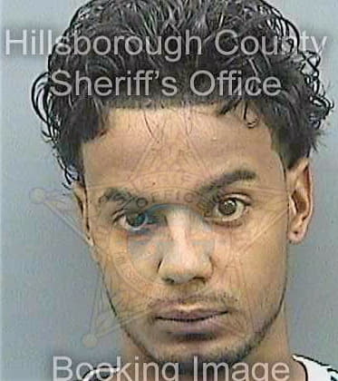 Rodriguez Justin - Hillsborough County, FL 