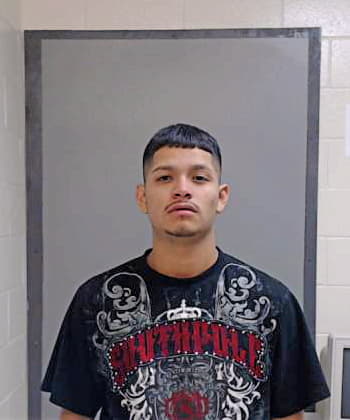 Martinez Cristian - Hidalgo County, TX 