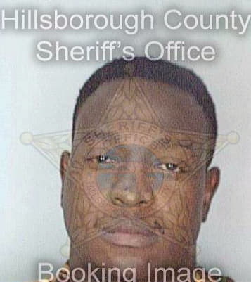 Nelson David - Hillsborough County, FL 