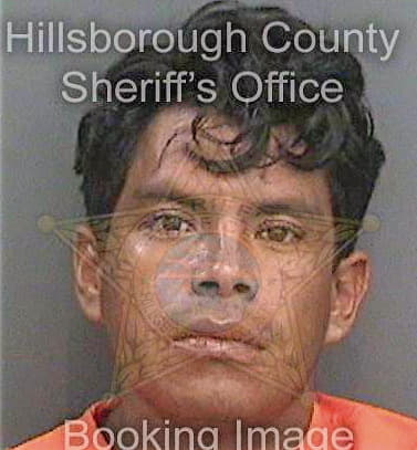 Ceballos Eduardo - Hillsborough County, FL 