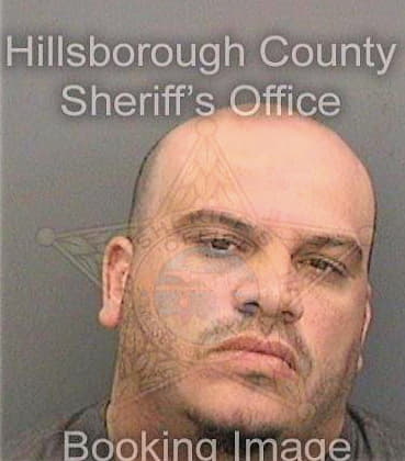 Batista-Tossas Luis - Hillsborough County, FL 