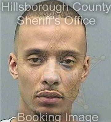 Johnson Dawayne - Hillsborough County, FL 