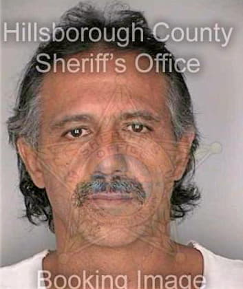 Chong Antonio - Hillsborough County, FL 