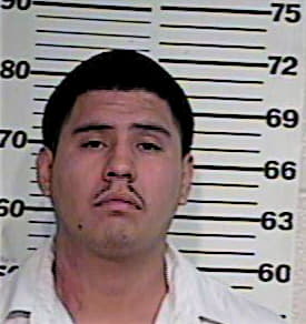 Gonzalez Nestor - Hidalgo County, TX 