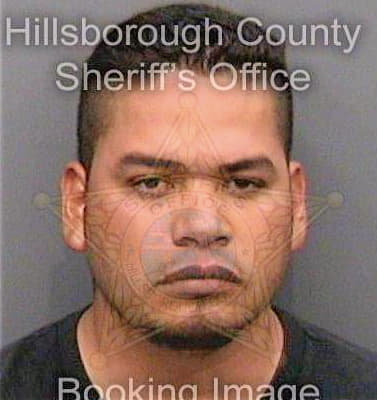 Perezjaimez Ernesto - Hillsborough County, FL 