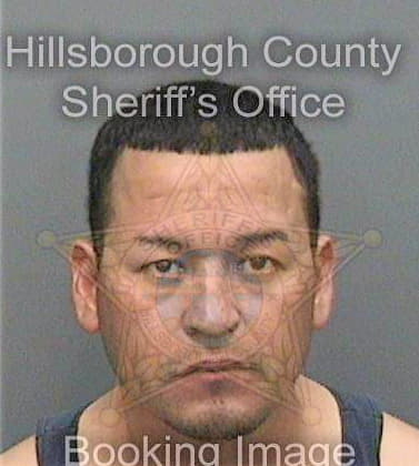 Perez Francisco - Hillsborough County, FL 