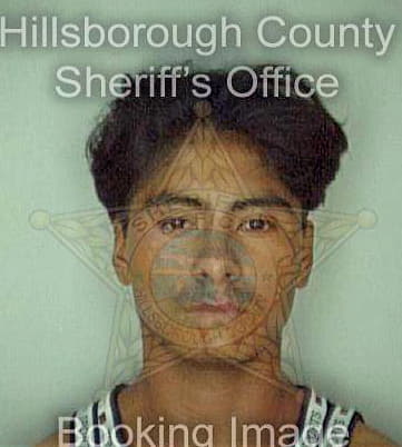 Mendezgomez Jose - Hillsborough County, FL 