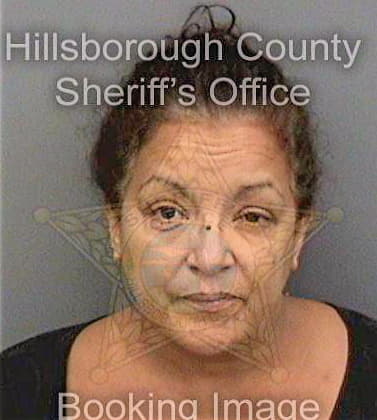 Medina Lillian - Hillsborough County, FL 