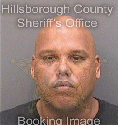 Perez Gerardo - Hillsborough County, FL 