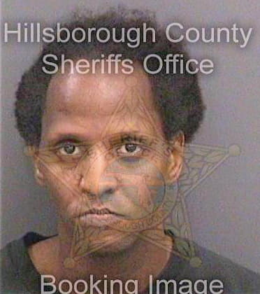 Thomas Karim - Hillsborough County, FL 