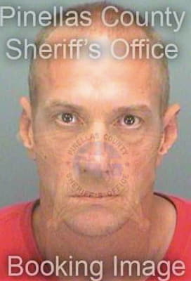 Marceau Matthew - Pinellas County, FL 