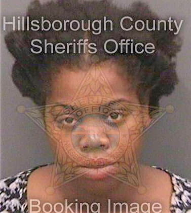 Childress Cherise - Hillsborough County, FL 