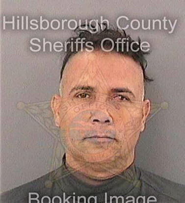 Frometaricardo Leonel - Hillsborough County, FL 