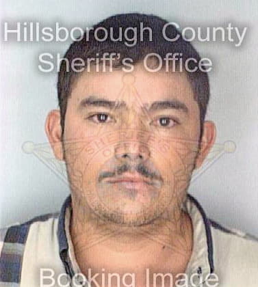 Garciaheredia Francisco - Hillsborough County, FL 