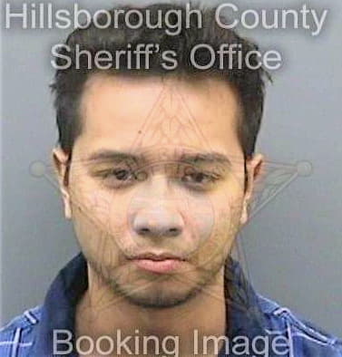 Nguyen Michael - Hillsborough County, FL 