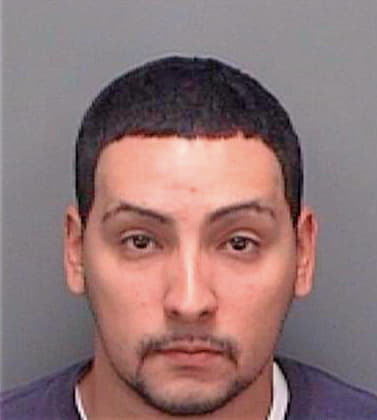 Dejesus Carmelo - Pinellas County, FL 