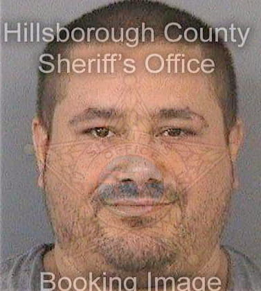 Jimenez Luis - Hillsborough County, FL 