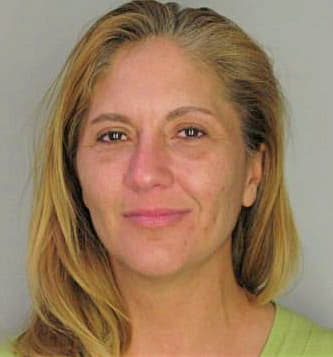 Mcnew Nikki - Hillsborough County, FL 