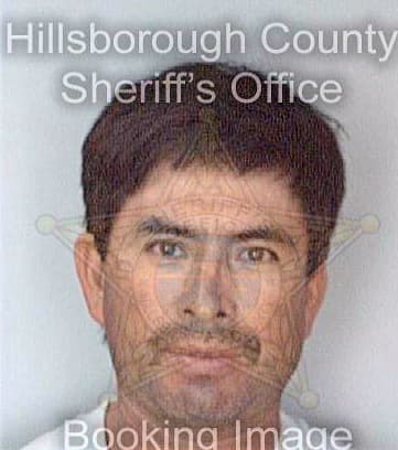 Milan Angel - Hillsborough County, FL 