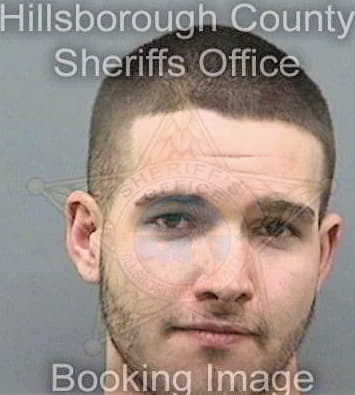 Batson William - Hillsborough County, FL 