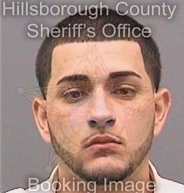 Londono Philip - Hillsborough County, FL 