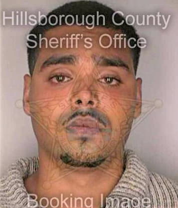 Sierra Benjamin - Hillsborough County, FL 