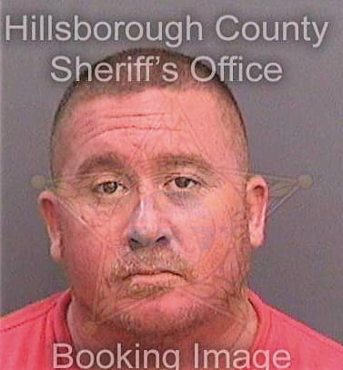 Titka Steven - Hillsborough County, FL 