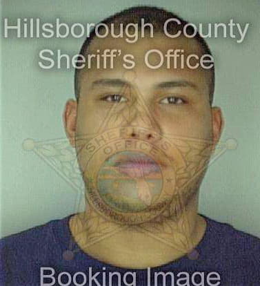 Smail Todd - Hillsborough County, FL 