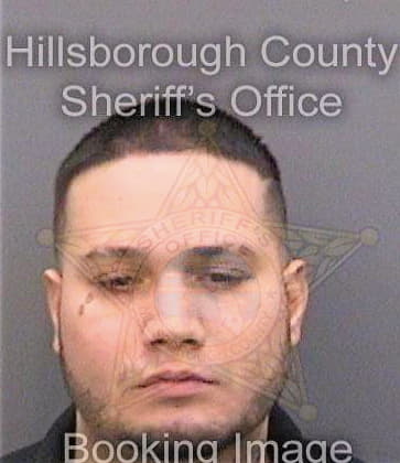 Dejesusmorales Alexander - Hillsborough County, FL 