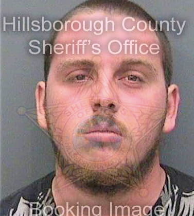 Lewis Michael - Hillsborough County, FL 