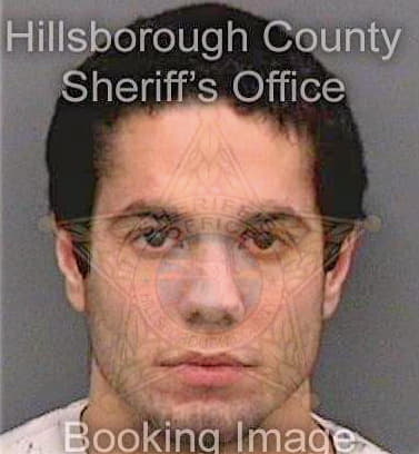 Lazzara Domenico - Hillsborough County, FL 