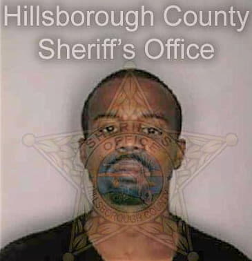 Siles David - Hillsborough County, FL 