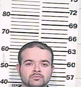 Hernandez Paul - Hidalgo County, TX 