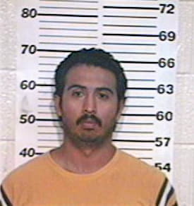 Hernandez Victor - Hidalgo County, TX 