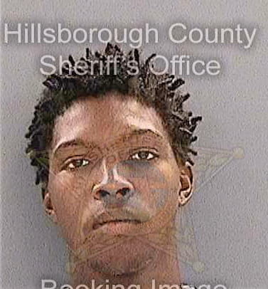 Hopkins Demetrius - Hillsborough County, FL 