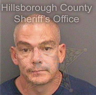 Negron Nicholas - Hillsborough County, FL 