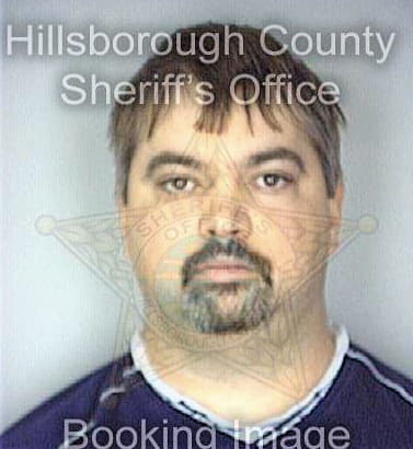 Lemieux David - Hillsborough County, FL 