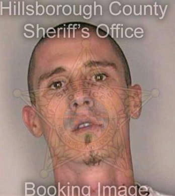 Mclendon Christopher - Hillsborough County, FL 