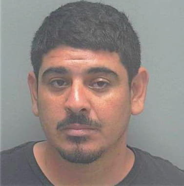 Hernandez Jorge - Lee County, FL 