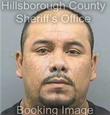 Espinozarenteria Giovani - Hillsborough County, FL 