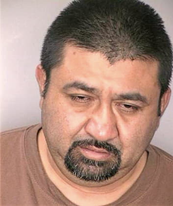 Menezsotelo Miguel - Hillsborough County, FL 