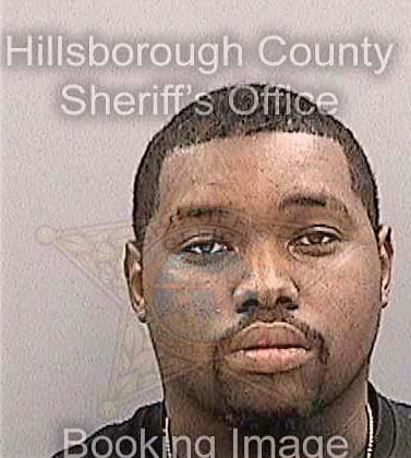 Davis Labron - Hillsborough County, FL 