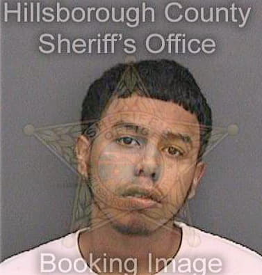 Leon Albert - Hillsborough County, FL 