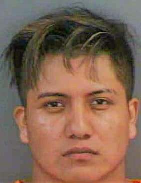 Ramosperez Reynaldo - Collier County, FL 