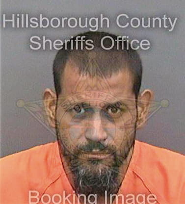 Gastonrivera Carlos - Hillsborough County, FL 