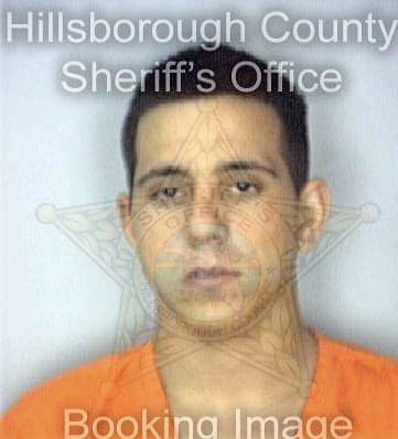 Peluso Louis - Hillsborough County, FL 