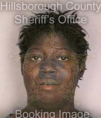 Bivins Beatrice - Hillsborough County, FL 