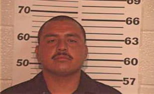 Trejo Carlos - Hidalgo County, TX 