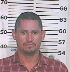 Hernandez Julio - Hidalgo County, TX 