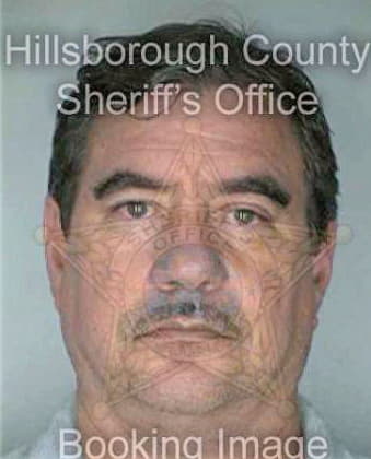 Mclanus Michael - Hillsborough County, FL 